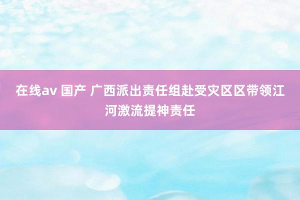 在线av 国产 广西派出责任组赴受灾区区带领江河激流提神责任