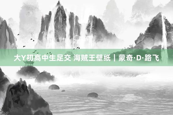 大Y初高中生足交 海贼王壁纸|蒙奇·D·路飞