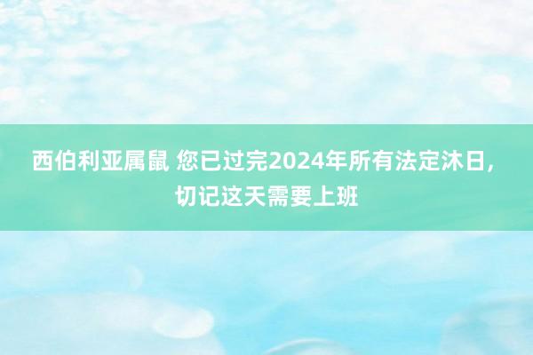 西伯利亚属鼠 您已过完2024年所有法定沐日， 切记这天需要上班