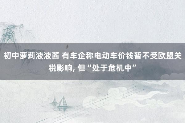 初中萝莉液液酱 有车企称电动车价钱暂不受欧盟关税影响， 但“处于危机中”