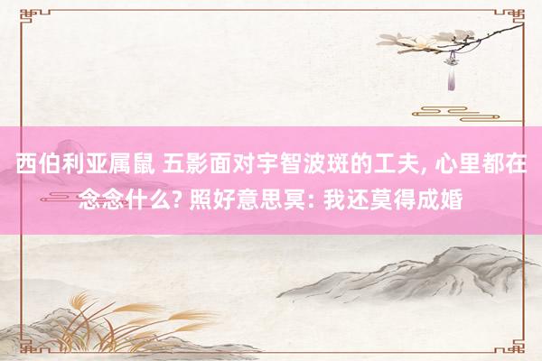 西伯利亚属鼠 五影面对宇智波斑的工夫， 心里都在念念什么? 照好意思冥: 我还莫得成婚