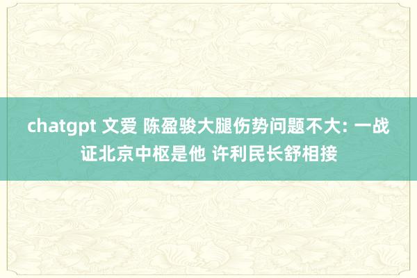 chatgpt 文爱 陈盈骏大腿伤势问题不大: 一战证北京中枢是他 许利民长舒相接