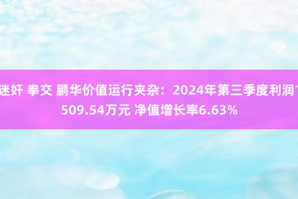 迷奸 拳交 鹏华价值运行夹杂：2024年第三季度利润1509.54万元 净值增长率6.63%