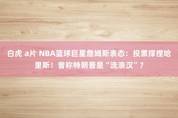 白虎 a片 NBA篮球巨星詹姆斯表态：投票撑捏哈里斯！曾称特朗普是“流浪汉”？