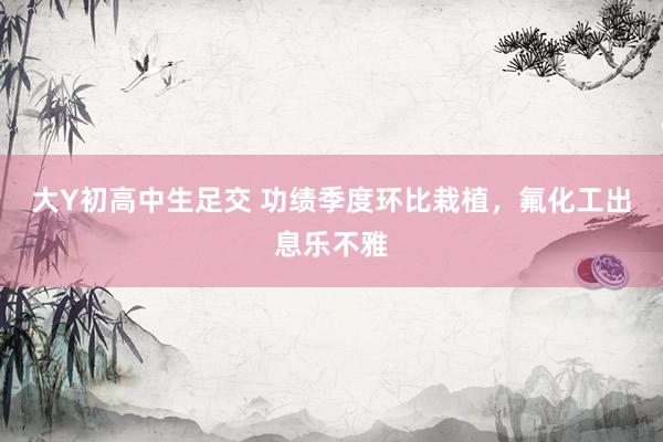 大Y初高中生足交 功绩季度环比栽植,氟化工出息乐不雅