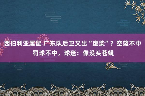 西伯利亚属鼠 广东队后卫又出“废柴”？空篮不中 罚球不中，球迷：像没头苍蝇