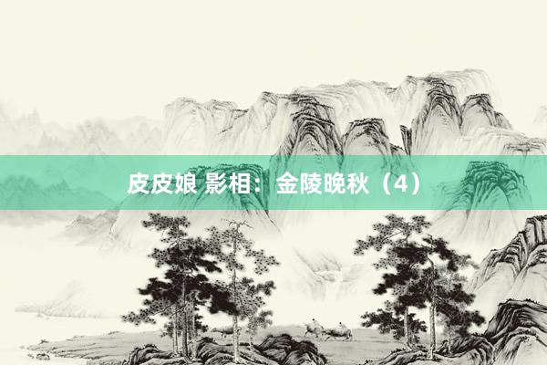 皮皮娘 影相：金陵晚秋（4）
