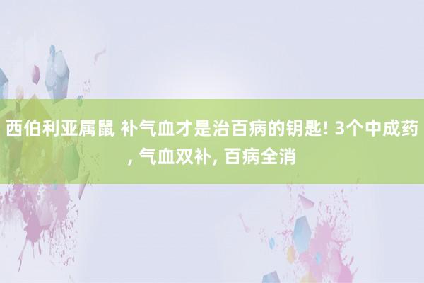 西伯利亚属鼠 补气血才是治百病的钥匙! 3个中成药， 气血双补， 百病全消
