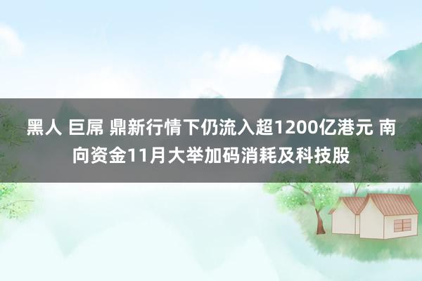黑人 巨屌 鼎新行情下仍流入超1200亿港元 南向资金11月大举加码消耗及科技股