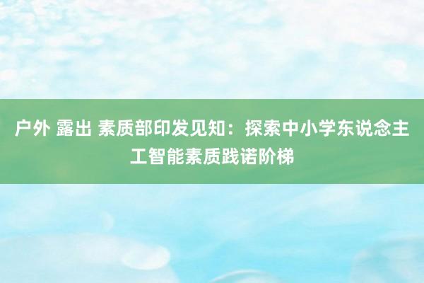 户外 露出 素质部印发见知：探索中小学东说念主工智能素质践诺阶梯