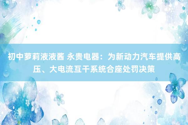 初中萝莉液液酱 永贵电器：为新动力汽车提供高压、大电流互干系统合座处罚决策