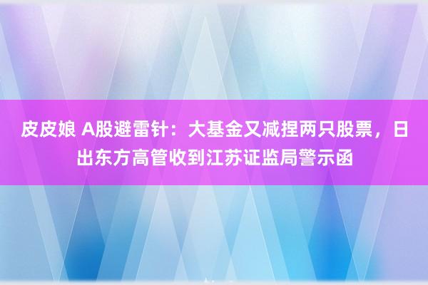皮皮娘 A股避雷针：大基金又减捏两只股票，日出东方高管收到江苏证监局警示函