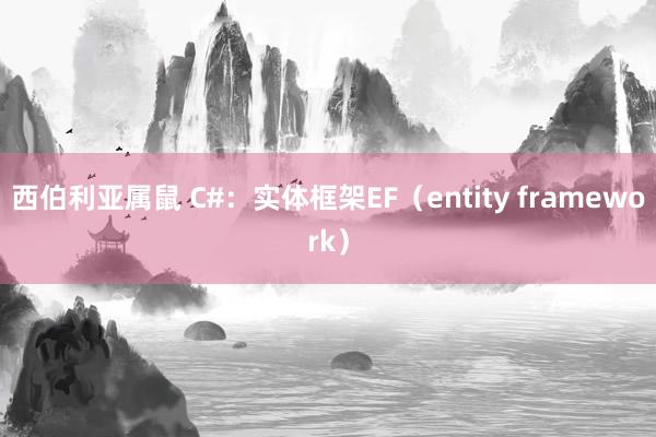 西伯利亚属鼠 C#：实体框架EF（entity framework）