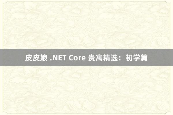 皮皮娘 .NET Core 贵寓精选：初学篇