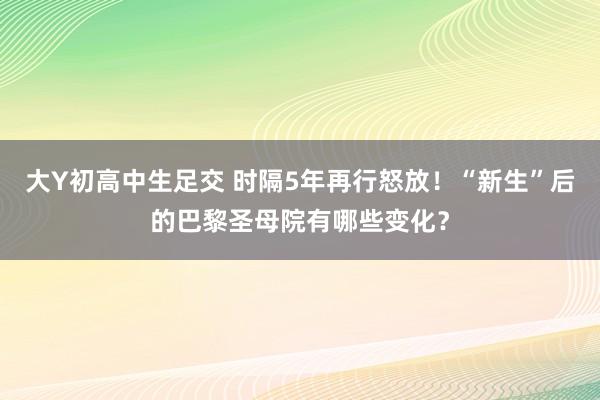 大Y初高中生足交 时隔5年再行怒放！“新生”后的巴黎圣母院有哪些变化？