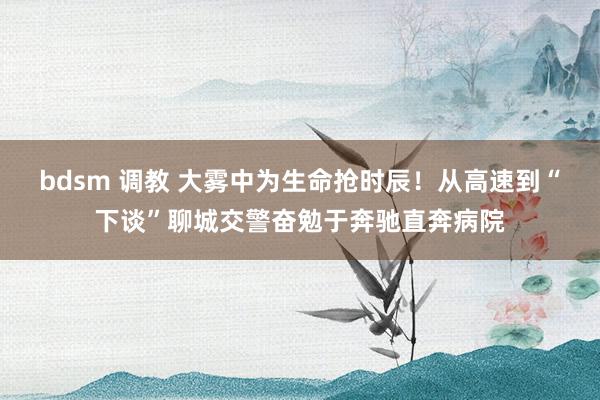 bdsm 调教 大雾中为生命抢时辰！从高速到“下谈”聊城交警奋勉于奔驰直奔病院