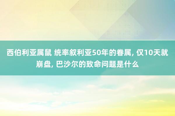 西伯利亚属鼠 统率叙利亚50年的眷属， 仅10天就崩盘， 巴沙尔的致命问题是什么