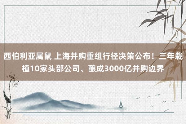 西伯利亚属鼠 上海并购重组行径决策公布！三年栽植10家头部公司、酿成3000亿并购边界