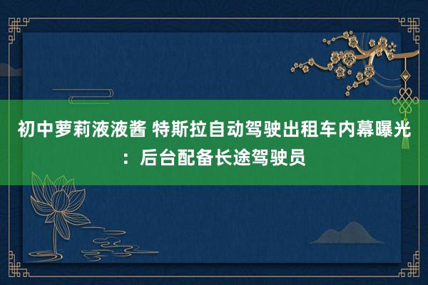 初中萝莉液液酱 特斯拉自动驾驶出租车内幕曝光：后台配备长途驾驶员