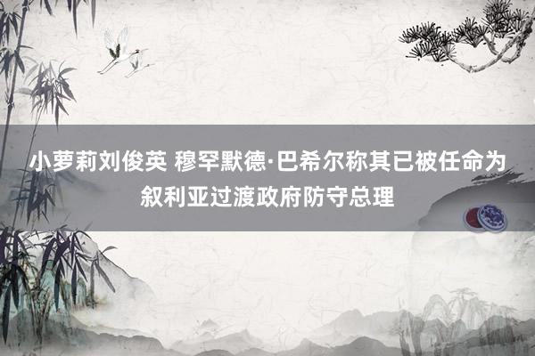 小萝莉刘俊英 穆罕默德·巴希尔称其已被任命为叙利亚过渡政府防守总理