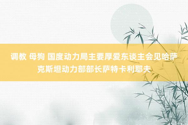 调教 母狗 国度动力局主要厚爱东谈主会见哈萨克斯坦动力部部长萨特卡利耶夫