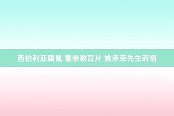 西伯利亚属鼠 意拳教育片 姚承荣先生莳植