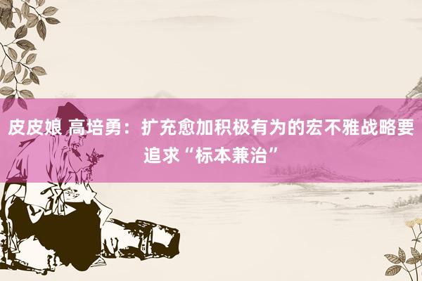 皮皮娘 高培勇：扩充愈加积极有为的宏不雅战略要追求“标本兼治”