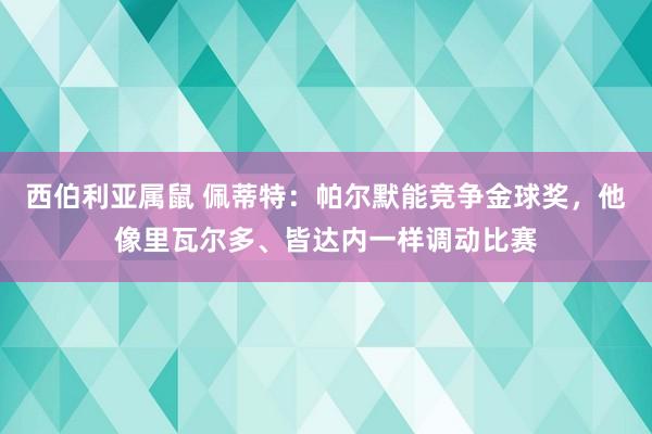 西伯利亚属鼠 佩蒂特：帕尔默能竞争金球奖，他像里瓦尔多、皆达内一样调动比赛