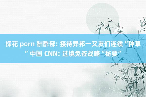探花 porn 酬酢部: 接待异邦一又友们连续“种草”中国 CNN: 过境免签战略“秘要”