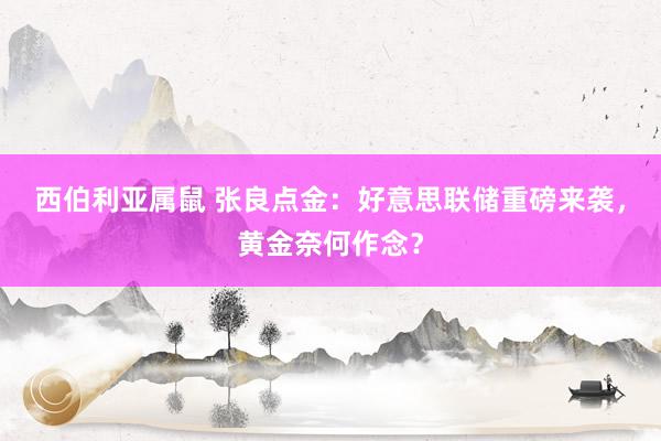 西伯利亚属鼠 张良点金：好意思联储重磅来袭，黄金奈何作念？