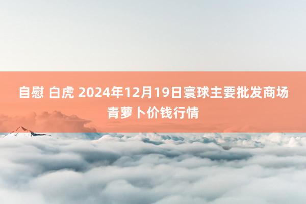 自慰 白虎 2024年12月19日寰球主要批发商场青萝卜价钱行情
