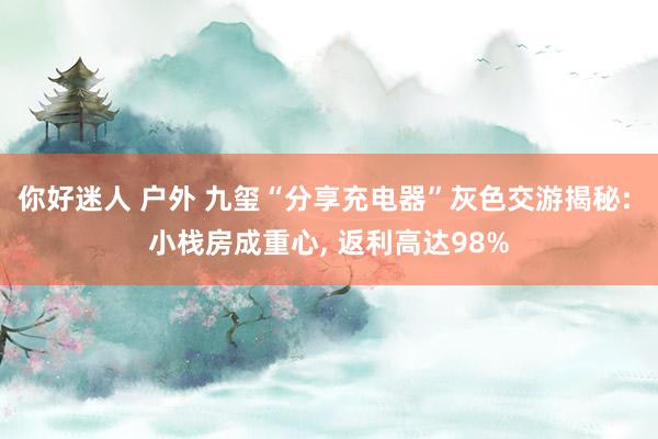 你好迷人 户外 九玺“分享充电器”灰色交游揭秘: 小栈房成重心， 返利高达98%
