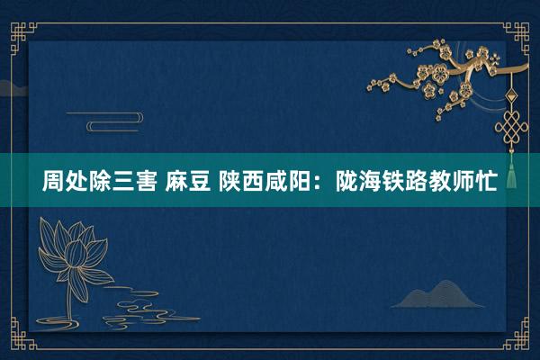 周处除三害 麻豆 陕西咸阳：陇海铁路教师忙