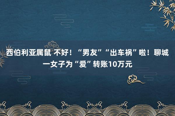 西伯利亚属鼠 不好！“男友”“出车祸”啦！聊城一女子为“爱”转账10万元