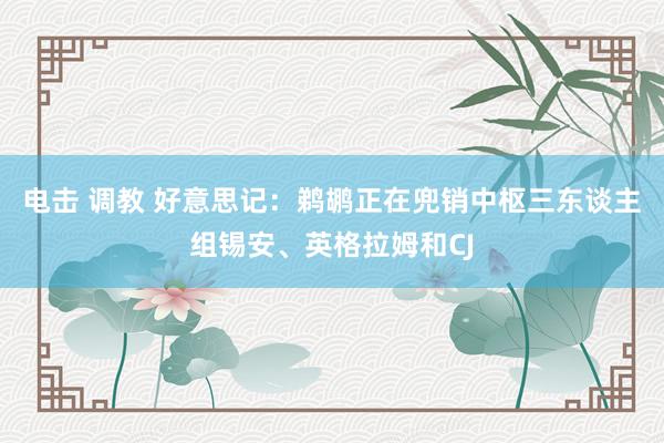 电击 调教 好意思记：鹈鹕正在兜销中枢三东谈主组锡安、英格拉姆和CJ