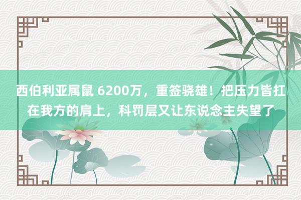 西伯利亚属鼠 6200万，重签骁雄！把压力皆扛在我方的肩上，科罚层又让东说念主失望了