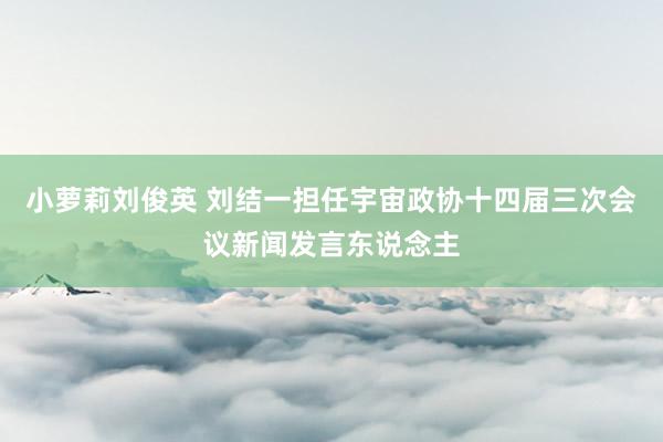 小萝莉刘俊英 刘结一担任宇宙政协十四届三次会议新闻发言东说念主