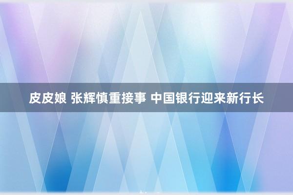 皮皮娘 张辉慎重接事 中国银行迎来新行长
