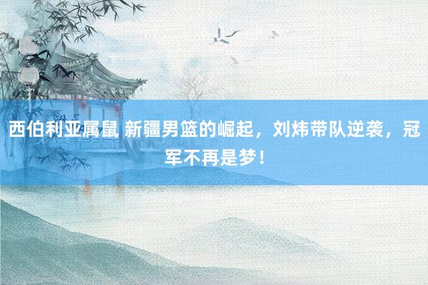 西伯利亚属鼠 新疆男篮的崛起，刘炜带队逆袭，冠军不再是梦！