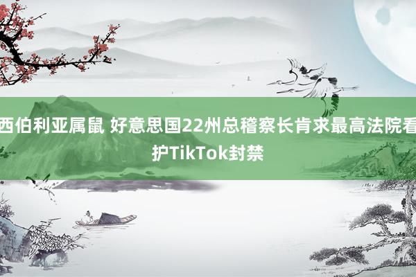 西伯利亚属鼠 好意思国22州总稽察长肯求最高法院看护TikTok封禁