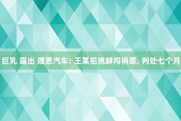 巨乳 露出 理思汽车: 王某犯挑衅闯祸罪， 判处七个月