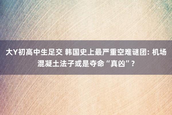 大Y初高中生足交 韩国史上最严重空难谜团: 机场混凝土法子或是夺命“真凶”?