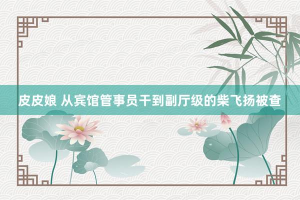 皮皮娘 从宾馆管事员干到副厅级的柴飞扬被查