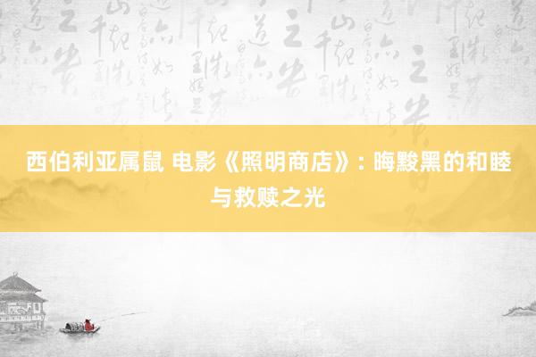 西伯利亚属鼠 电影《照明商店》: 晦黢黑的和睦与救赎之光