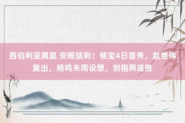 西伯利亚属鼠 安概括则！顿宝4日首秀，赵继伟复出，杨鸣未雨设想，剑指两连胜