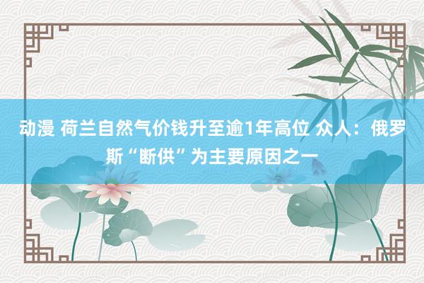 动漫 荷兰自然气价钱升至逾1年高位 众人：俄罗斯“断供”为主要原因之一