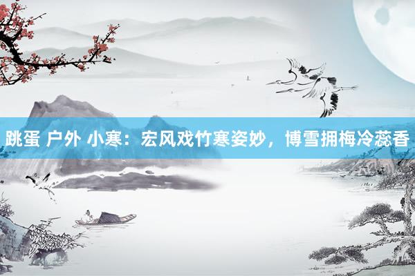 跳蛋 户外 小寒：宏风戏竹寒姿妙，博雪拥梅冷蕊香