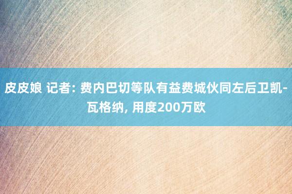 皮皮娘 记者: 费内巴切等队有益费城伙同左后卫凯-瓦格纳， 用度200万欧