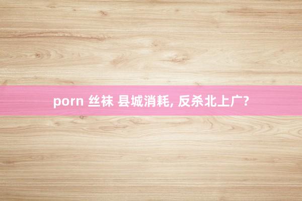 porn 丝袜 县城消耗， 反杀北上广?