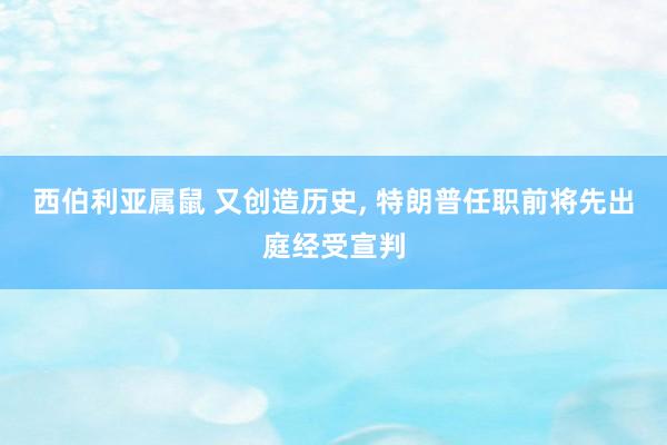 西伯利亚属鼠 又创造历史， 特朗普任职前将先出庭经受宣判